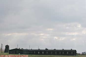 IMG_ (10797)